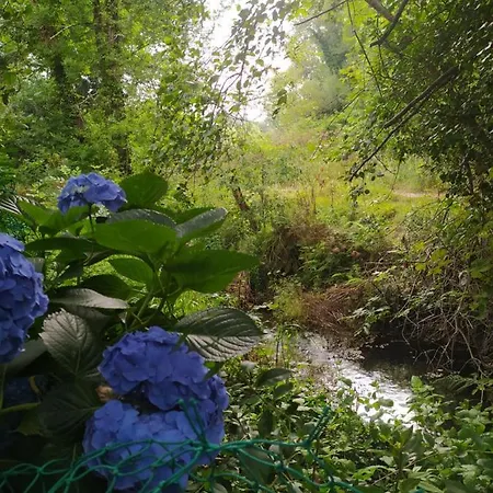 Casita En Apartman Pontevedra